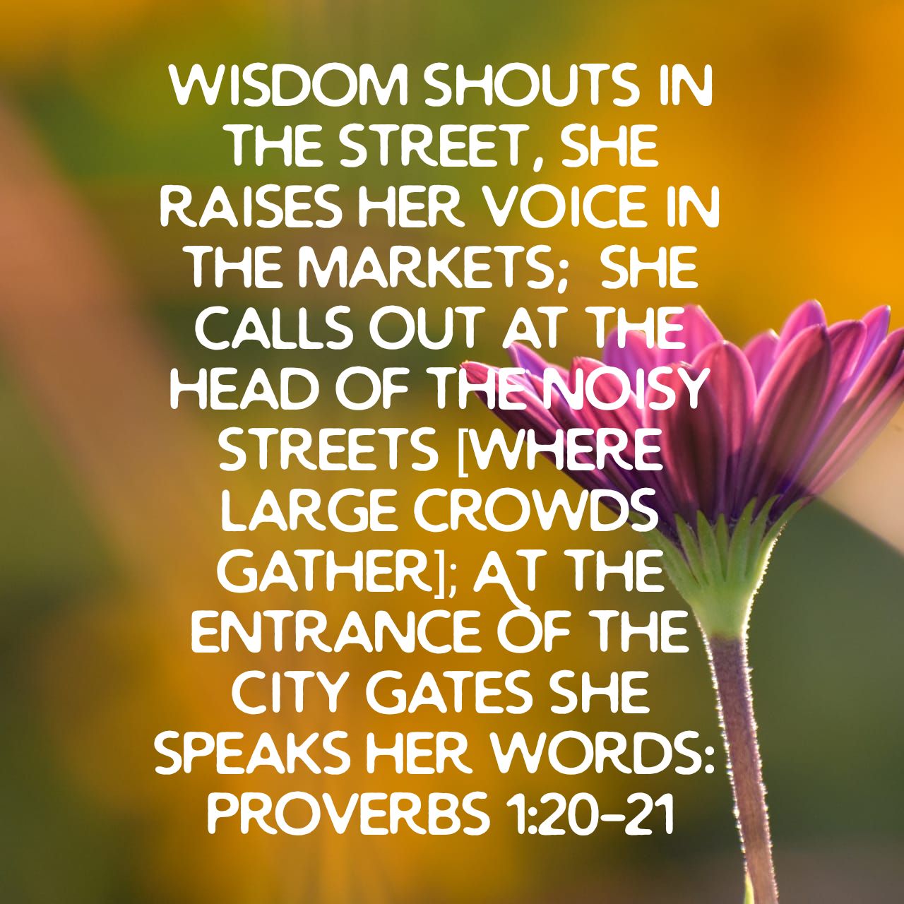Proverbs 1