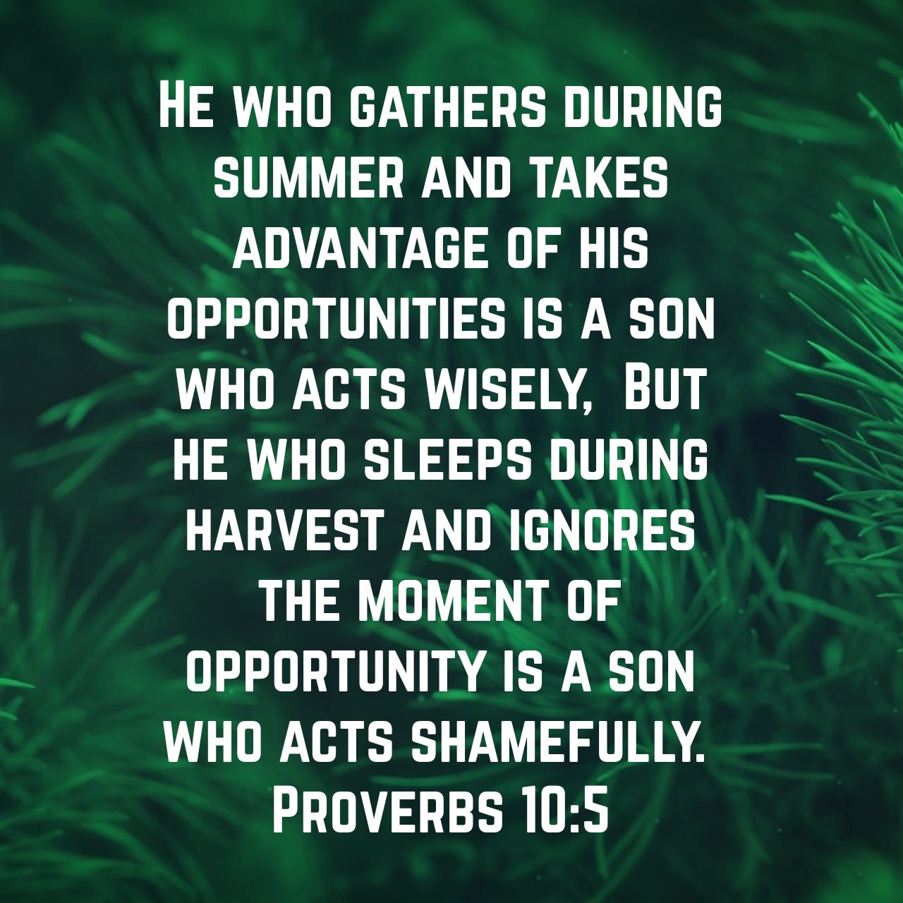 Proverbs 10